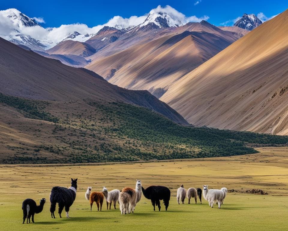 Goedkope rondreizen Peru Bolivia