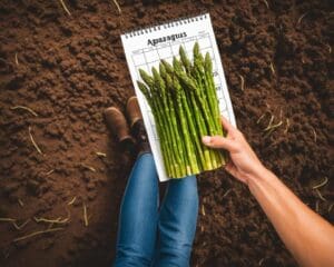 wanneer zijn er weer asperges