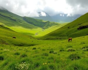 Bewonder de groene valleien van de Schotse Hooglanden