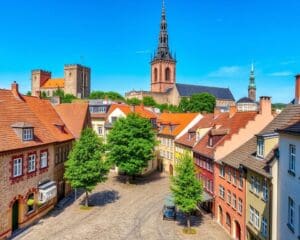 Bewonder de oude stadskern van Tallinn, Estland