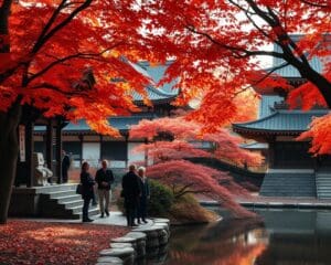 Bewonder de tempels van Kyoto, Japan in de herfst