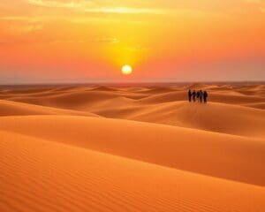 Bewonder de zandduinen van de Sahara in Marokko
