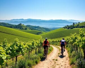 Fietsen door de wijngaarden van Piemonte, Italië