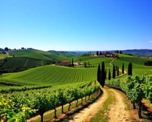 Maak een tocht langs de wijngaarden van Toscane