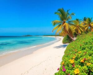 Ontdek de ongerepte stranden van Mozambique