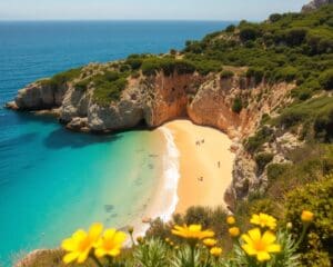 Ontdek de verborgen stranden van Corsica, Frankrijk