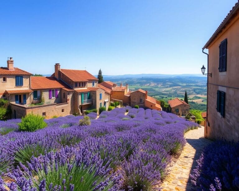 Verken de schilderachtige dorpen van de Provence