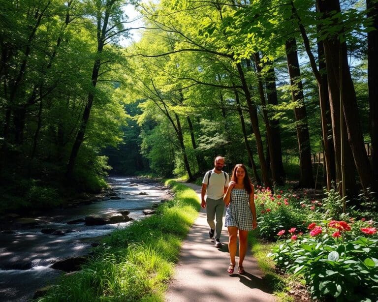 Wat zijn de voordelen van wandelen in de natuur voor mentale gezondheid?