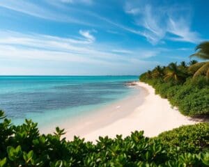 Stranden van Zanzibar: paradijselijke rust en helder water