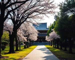 Reizen naar de iconische tempels van Kyoto, Japan